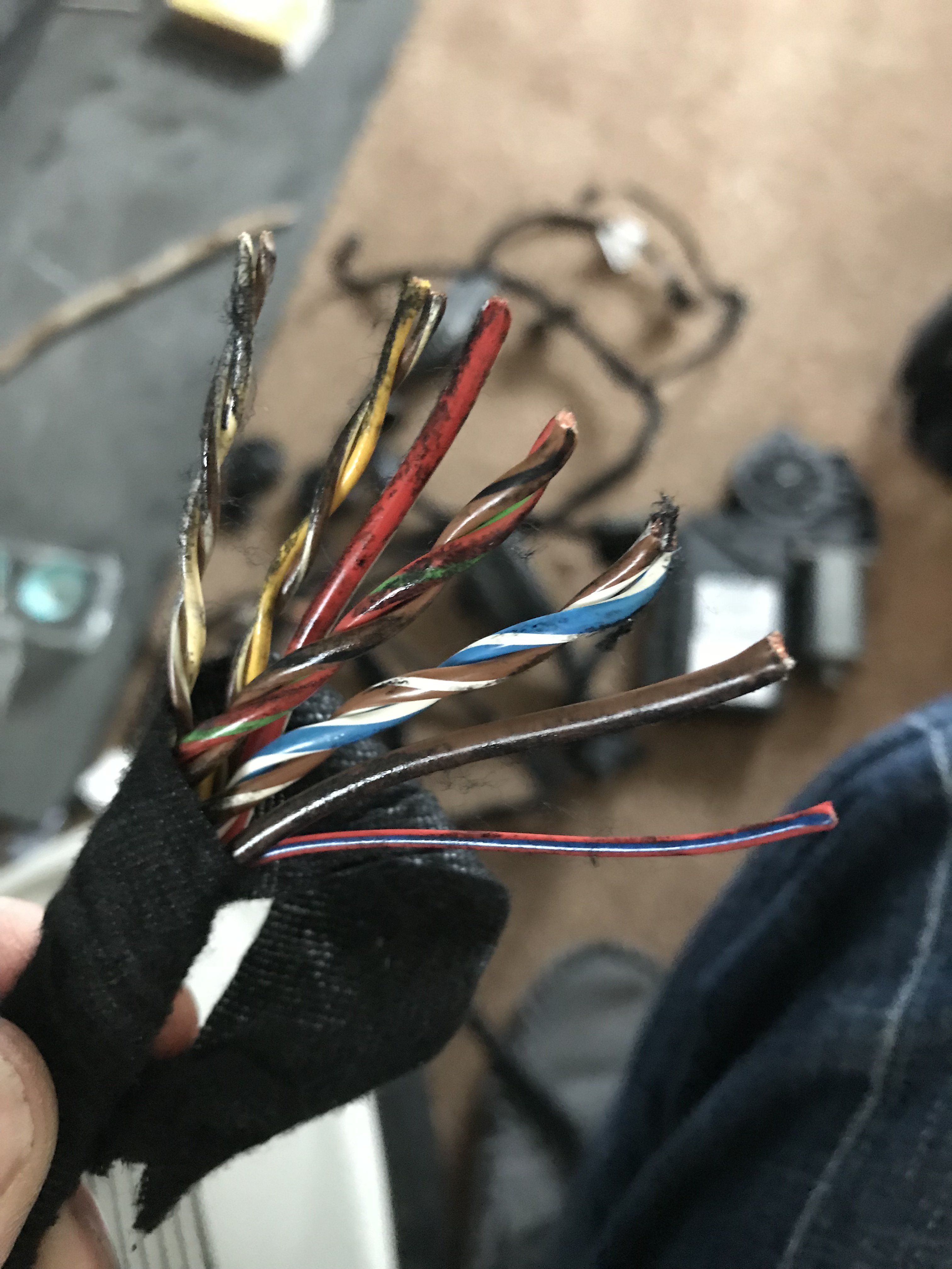 Stock Blaupunkt Amp Wiring Help Needed