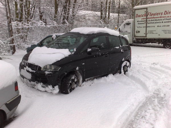 my a2 in snow